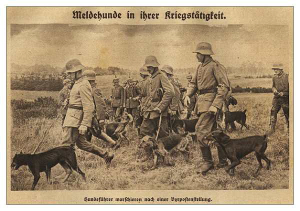 Devil Dogs, Haseldorf, Deutsche Einheiten (11)