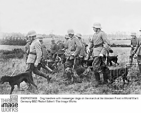 Devil Dogs, Haseldorf, Deutsche Einheiten (9)